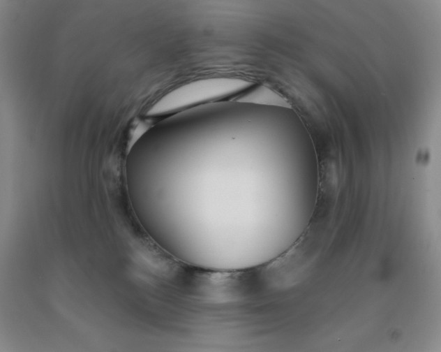 X0000092010184200709201538