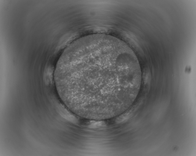 X0000092010185200709201538