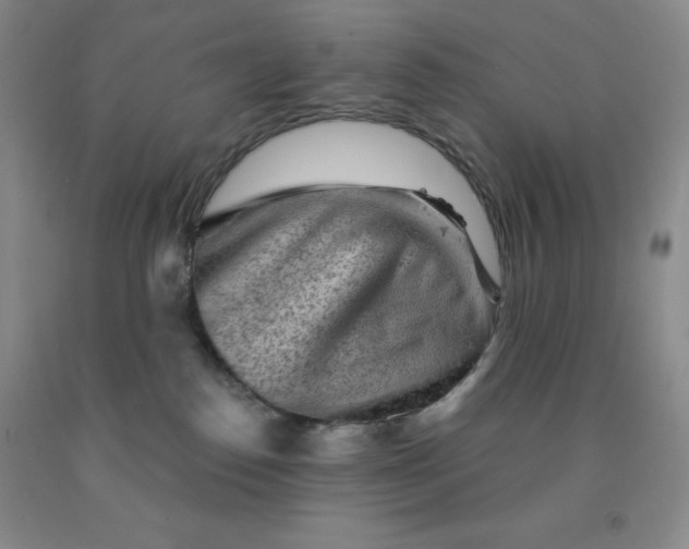 X0000092010186200709201538