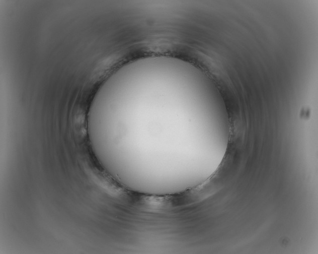 X0000092010187200709201538