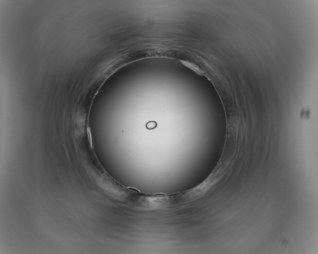 X0000092010188200709201538