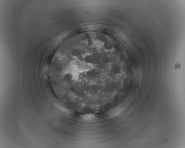 X0000092010189200709201538