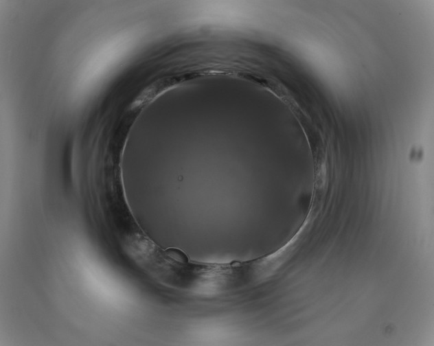 X0000092010191200709201538