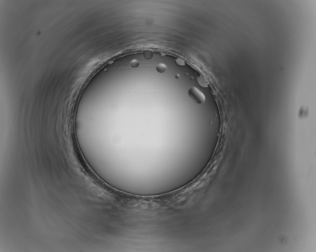 X0000092010193200709201537