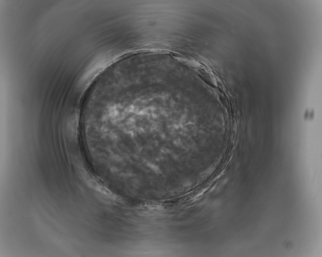 X0000092010194200709201537