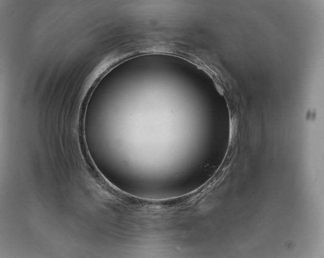 X0000092010195200709201537