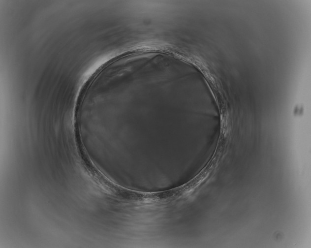 X0000092010196200709201537