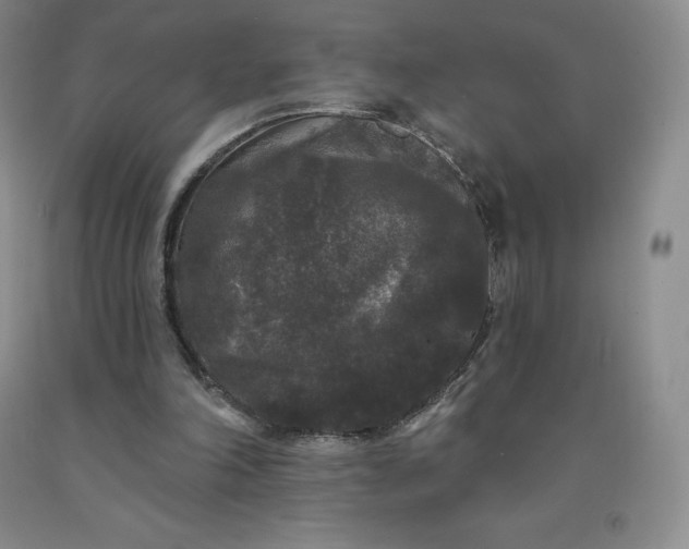 X0000092010198200709201537