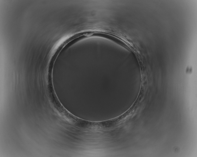 X0000092010200200709201537