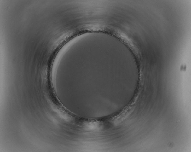 X0000092010202200709201537