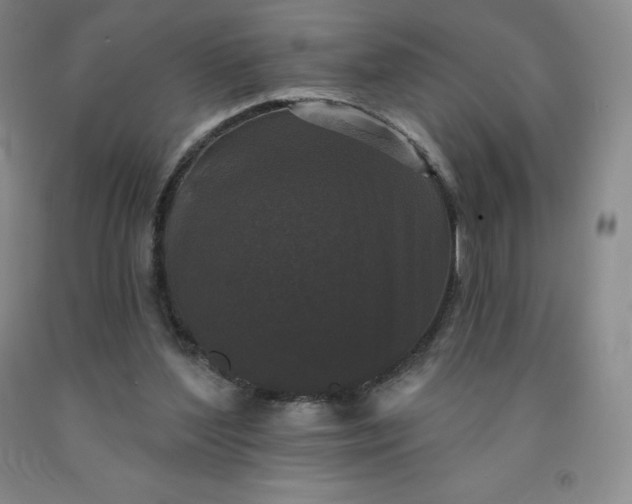 X0000092010204200709201537