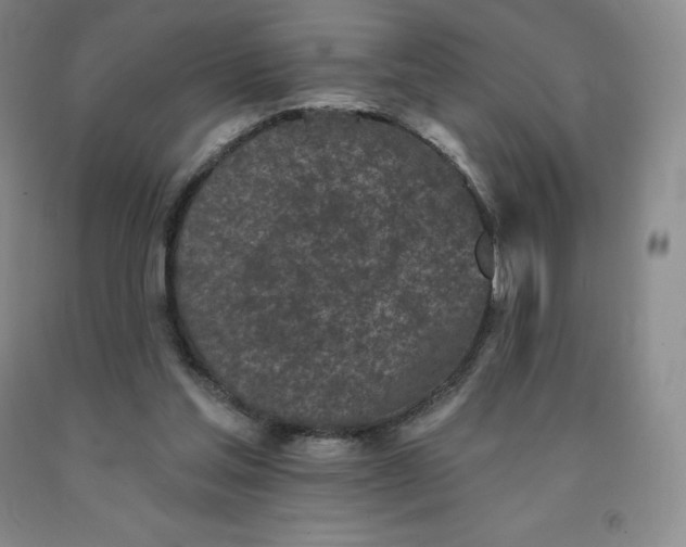 X0000092010205200709201537