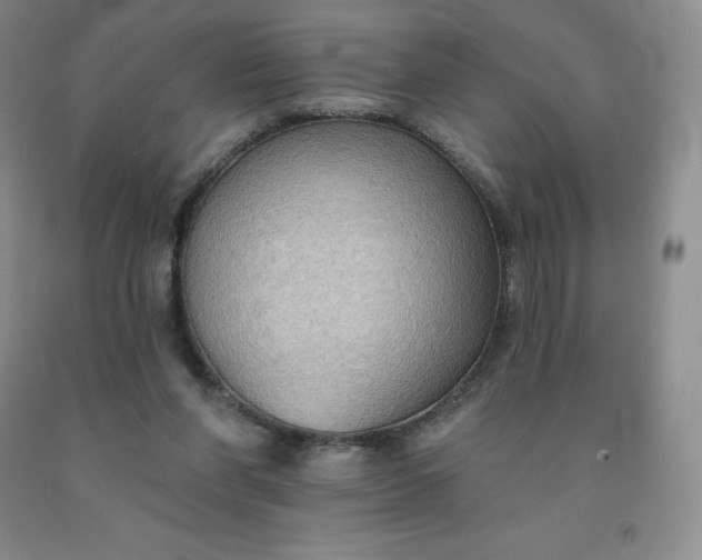 X0000092010206200709201537