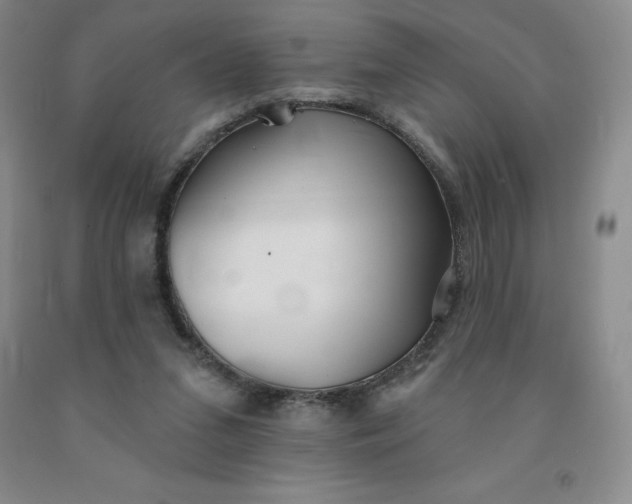 X0000092010207200709201537