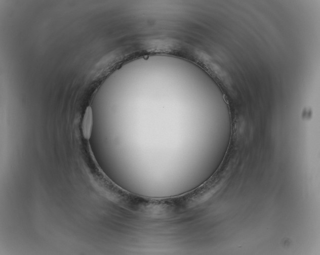 X0000092010209200709201537