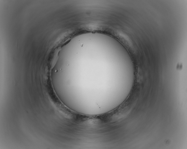 X0000092010210200709201537
