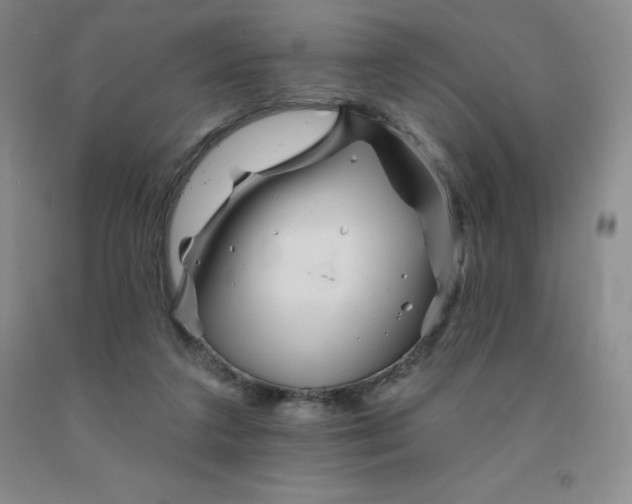 X0000092010211200709201537