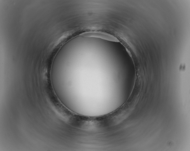 X0000092010212200709201537