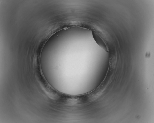 X0000092010213200709201537