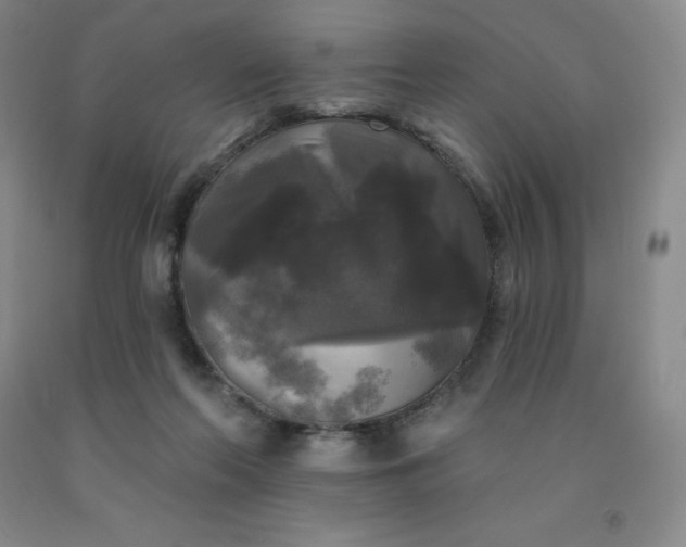 X0000092010214200709201537