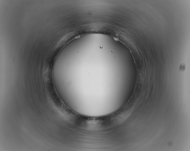 X0000092010216200709201537