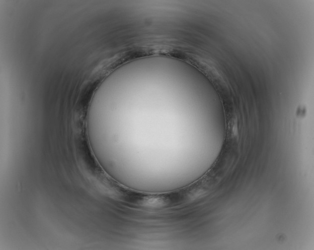 X0000092010218200709201537