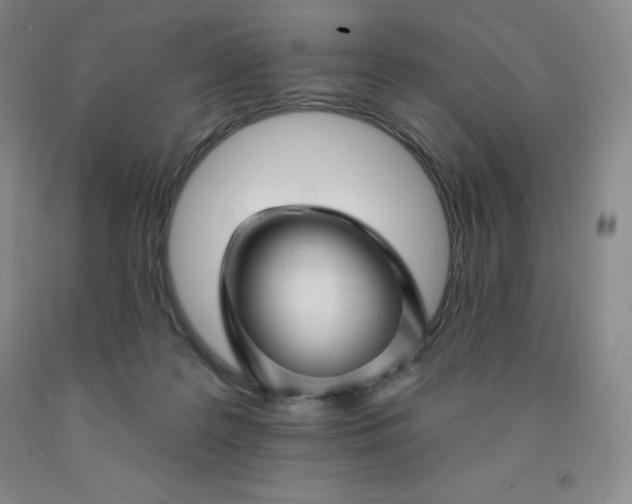 X0000092010219200709201537