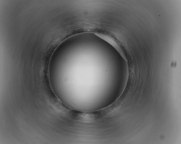 X0000092010221200709201537