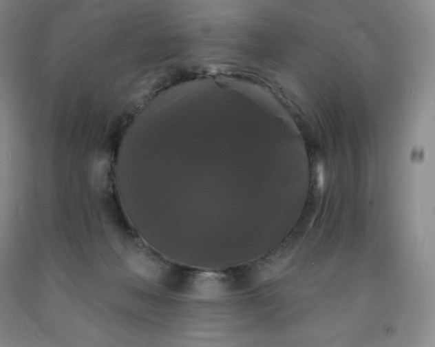 X0000092010222200709201537