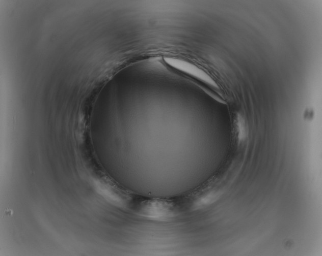 X0000092010223200709201537