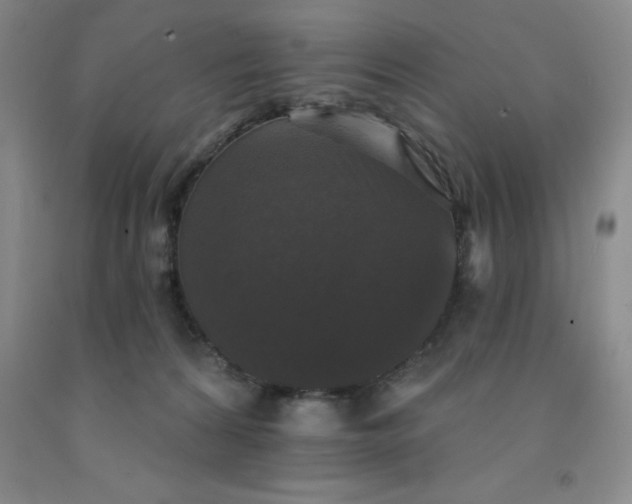 X0000092010224200709201537