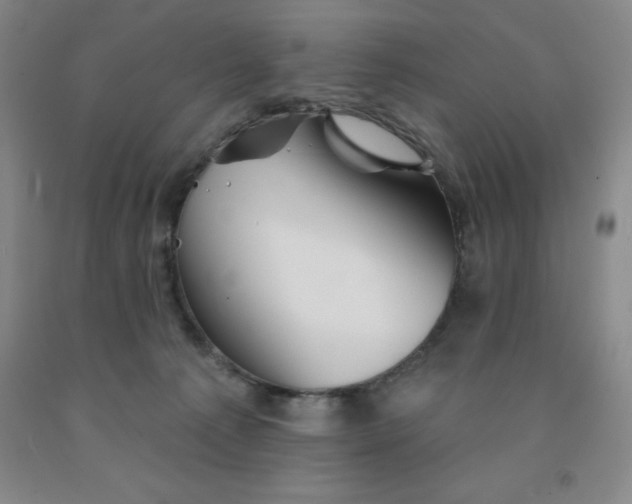 X0000092010225200709201537