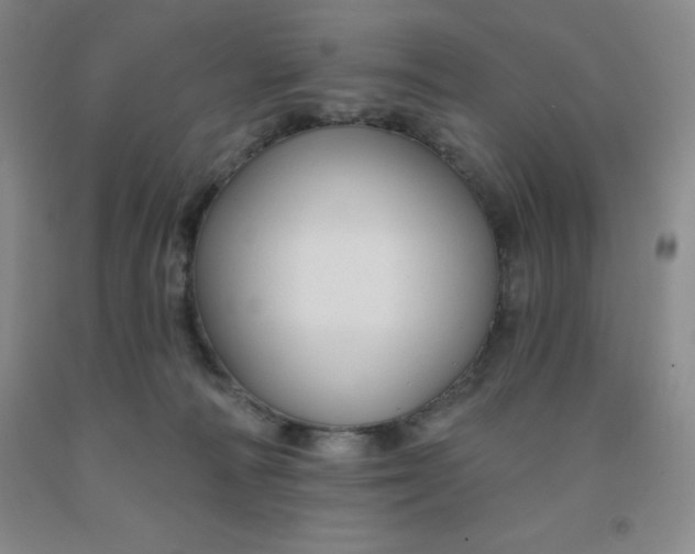 X0000092010226200709201537