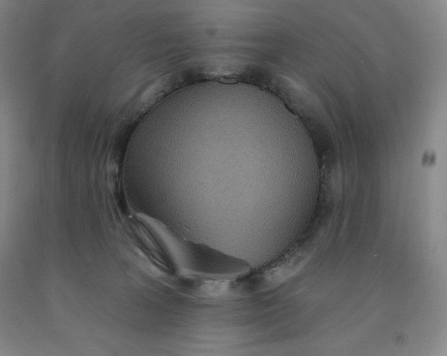 X0000092010227200709201537