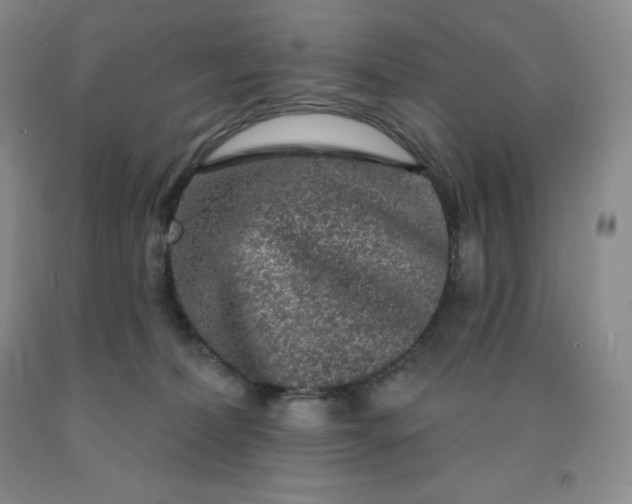 X0000092010228200709201537