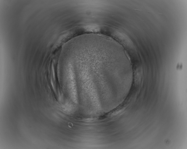 X0000092010229200709201537