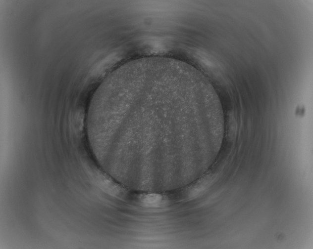 X0000092010230200709201537