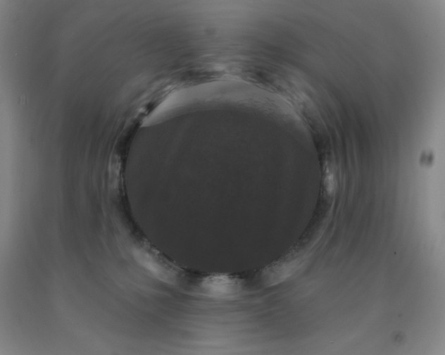 X0000092010231200709201537
