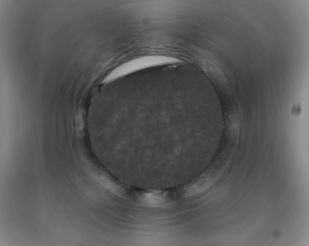 X0000092010232200709201537