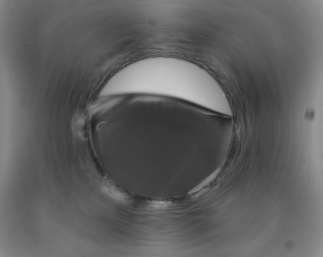 X0000092010233200709201537
