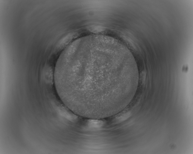 X0000092010234200709201537