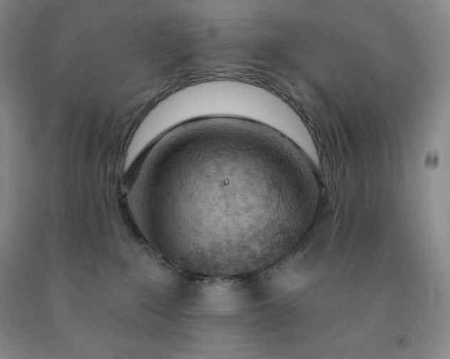 X0000092010235200709201537