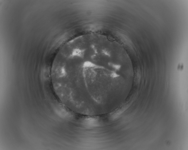 X0000092010236200709201537