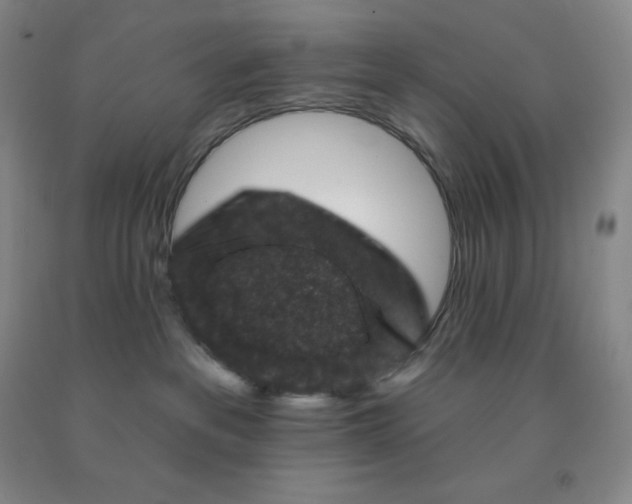 X0000092010237200709201537