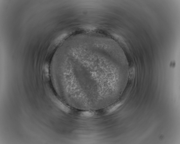 X0000092010238200709201537