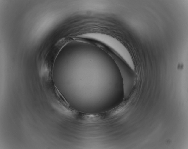 X0000092010239200709201537