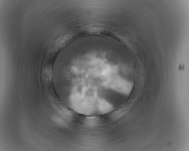 X0000092010240200709201537