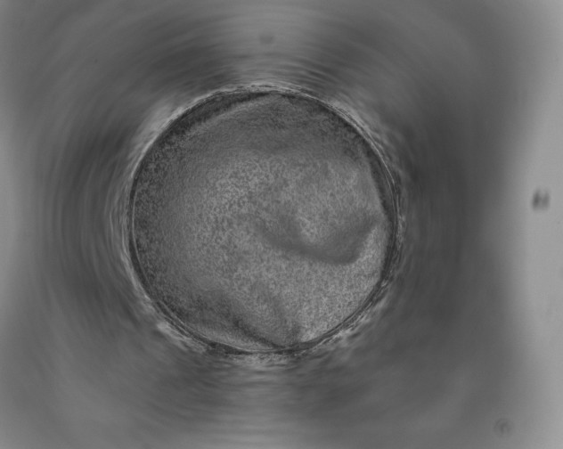 X0000092010241200709201536