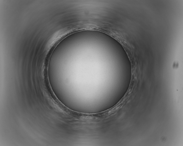 X0000092010242200709201536