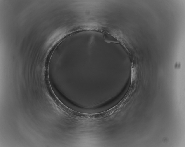 X0000092010243200709201536